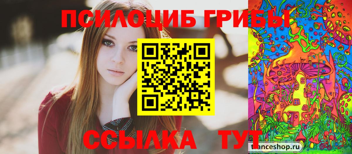 Советск  Галлюциногенные грибы GOLDEN TEACHER  Вход с VPN 